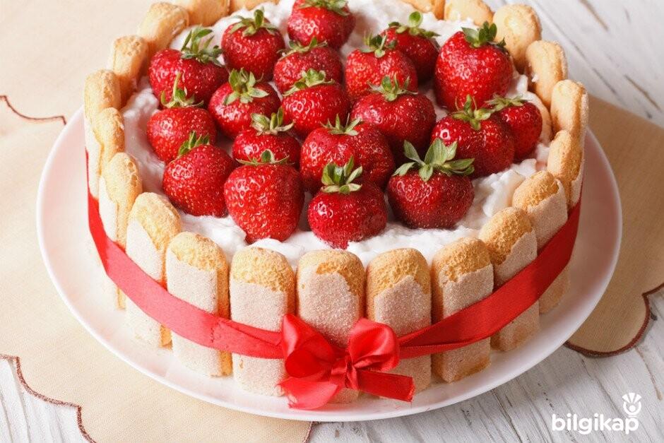 Meyveli Kolay Pasta  Tarifler Yaş Pasta Tarifleri